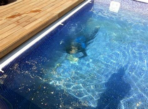 En plomeros medellín podemos localizar fugas en piscinas por medio de gas trazador, este sistema permite localizar fugas de agua en piscinas así que si tiene problemas de fugas de agua en su piscina, contacte a los mejores expertos en el tema. Reparación de fugas de agua en piscinas | FUGAS DE AGUA ...