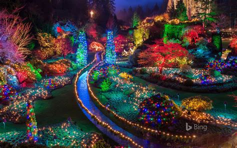 Christmas Lights At The Butchart Gardens In British