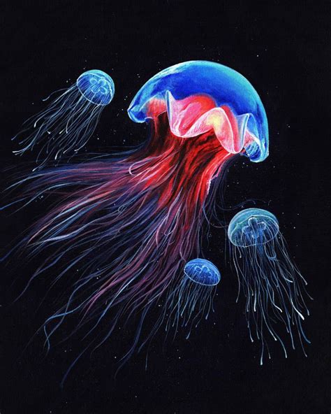 Jellyfish Print Jellyfish Canvas Print Of Original Acrylic Painting
