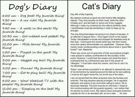 #cat diary #cats #cat funny #vacation #living with cats #so true. Cat Week: Cats Vrs Dogs - The Ketchup War