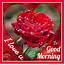 Good Morning Love Pictures And Graphics  SmitCreationcom Page 4