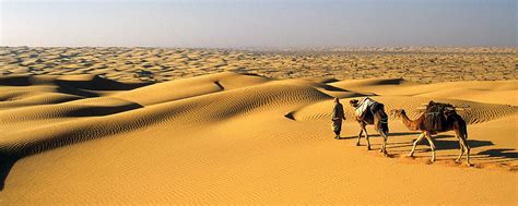 The Desert Tunisia