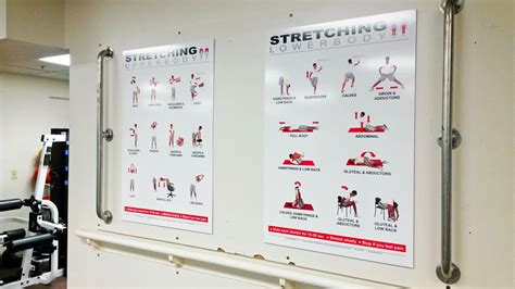 Lower Body Stretching Poster