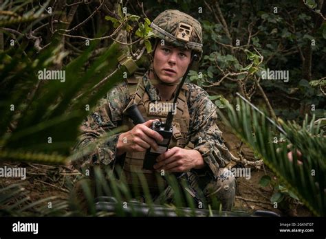 Us Marine Corps Cpl Dalton Cochran A Combat Engineer With The