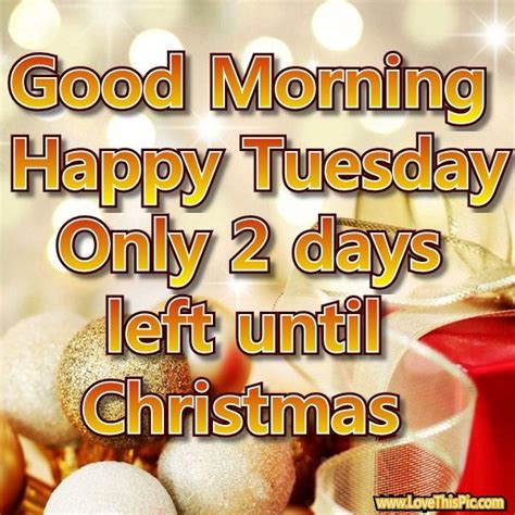 Good Morning Tuesday Christmas Pictures Photos And Images For