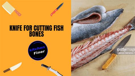 The 8 Best Knife For Cutting Fish Bones In 2023