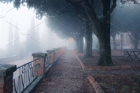 Old Foggy City Park Alley Containing Park Autumn And Mist High