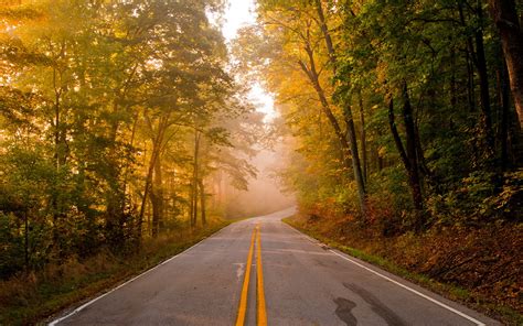 Photo Autumn Roads Forest Free Pictures On Fonwall