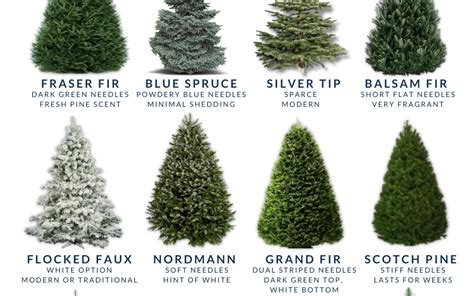 Tlc Christmas Tree Resource Guide Tlc Tactical Land Care