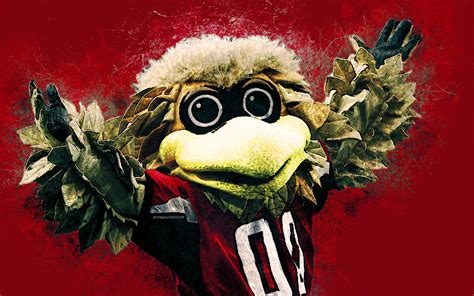 Download Wallpapers Freddie Falcon Official Mascot Atlanta Falcons