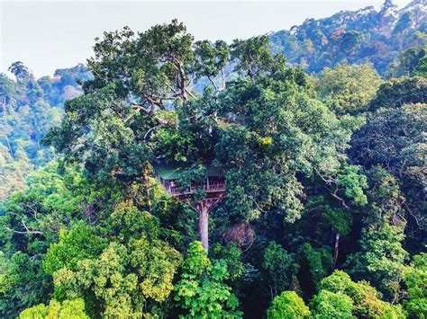 Explore Bokeo Nature Reserve — A Hidden Paradise Of Laos Living