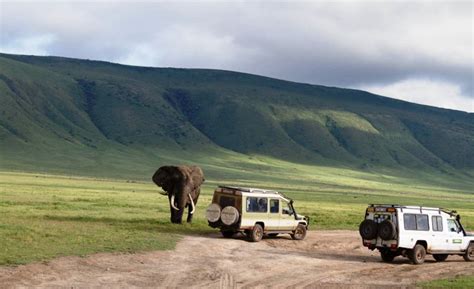 4 Days Ngorongoro Safari﻿ Ngorongoro And Manyara Safari