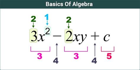 Basics Of Algebra Equations Algebraic Expressions