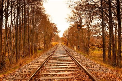 Trees Autumn Railway Track Forest Landscape Railroad Tracks