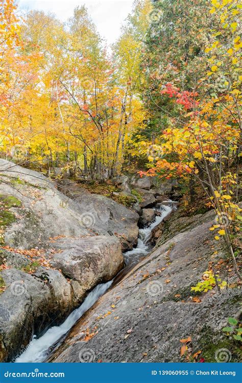 Beautiful Fall Color Of Mont Tremblant National Park Stock Image