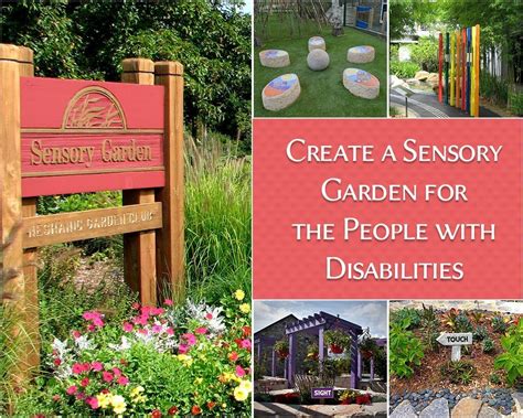 Sensory Gardens For The People With Disabilities Sensory Garden