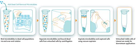 Dead Cell Removal Microbubble Kit Akadeum
