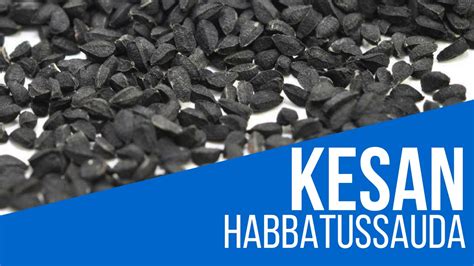 Biji apricot, kesan sampingan makan chia seed, kesan sampingan makanan segera, kesan sampingan tongkat ali, kesan sampingan pethidine, kesan sampingan ubat darah tinggi, kesan sampingan glutathione, kesan sampingan implanon, kesan sampingan streptomycin. Kesan dan Akibat Kalau makan habbatussaudak - YouTube