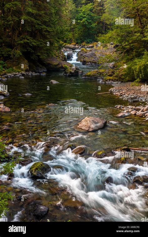 Salmon Cascades In The Sol Duc Section Of Olympic National Park In