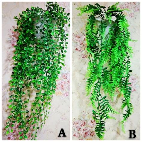 Bunga kemuning merupakan tumbuhan tropis yang terkenal diindonesia, bunga yang satu ini juga memiliki wangi yang tajam terlebih pada malam. Daun juntai rambat plastik daun artifisial | Shopee Indonesia
