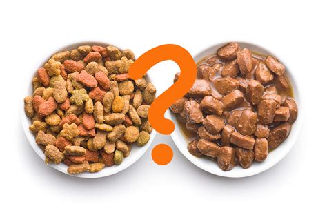 Wet Or Dry Dog Food Which Is Best For Your Dog In 2023