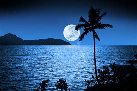 Ocean Night Moon Sky Tropical Stock Image Image Of Blue Light 35287489