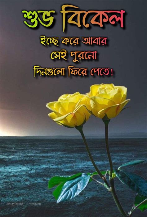 Pin By Anamika Nath On Good Evening Good Evening Greetings Good