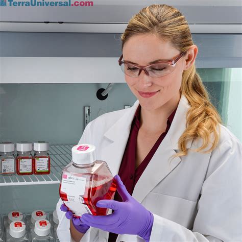 TSX High-Performance Refrigerator TSX1205SA | Thermo Fisher Scientific