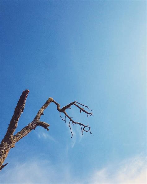 Cara edit foto efek galaksi di langit dengan picsart sangat from www.pro.co.id. Paling Bagus 13+ Gambar Aesthetic Langit Biru - Sugriwa Gambar
