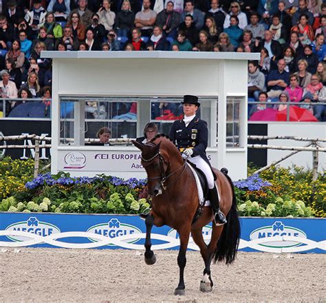 Wintec 500 pony synthetic dressage saddle adjustable hart cair black 15/16 new. Isabell Werth & Don Johnson Win Donaueschingen CDI4* Grand ...