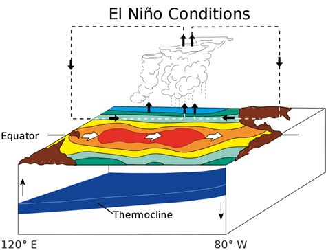 What Is El Niño The Full Explanation A Z Animals