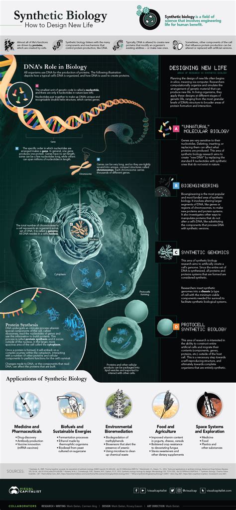 Explainer How Synthetic Biology Is Redesigning Life