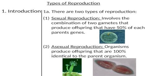Types Of Reproduction 1 Introduction 1a There Are Two Types Of