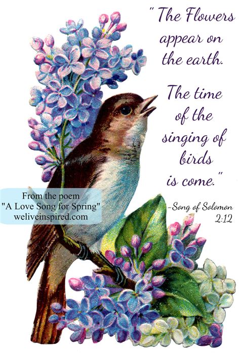Check spelling or type a new query. A Love Song for Spring- Five Minute Poetry - We Live Inspired!