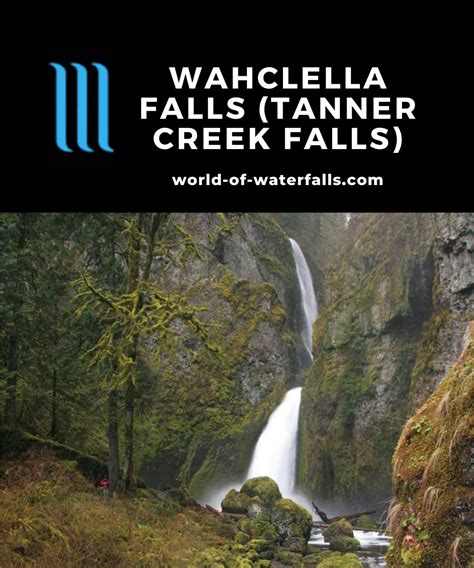 Wahclella Falls A Twisting Dual Columbia River Gorge Falls