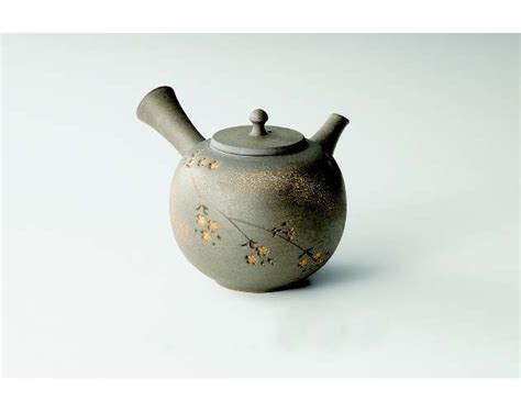 Tokoname Kyusu Seiho Tsuzuki 250ccml Ceramic Mesh Japanese Teapot