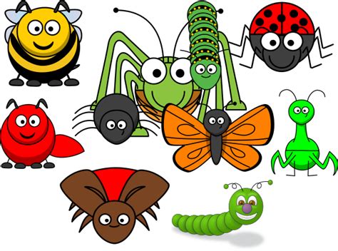 Insect Collection Clip Art At Vector Clip Art Online