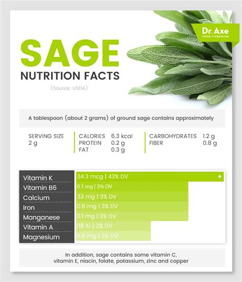 Sage Benefits And Uses For Skin Memory And More Dr Axe