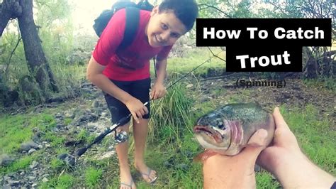 How To Catch Trout Spinning New England Rainbow Trout Youtube