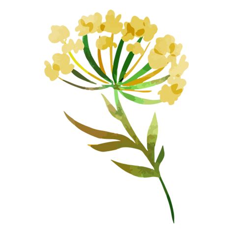 Diseño PNG Y SVG De Hermosas Flores Amarillas Acuarelas Para Camisetas