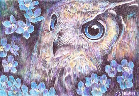 Night Owl By Snowmarite On Deviantart