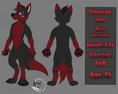 Fursona Reference Sheets Custom Furry Ref Sheets Character Etsy