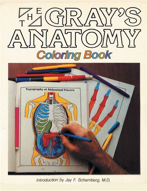 Grays Anatomy Coloring Book Pricepulse