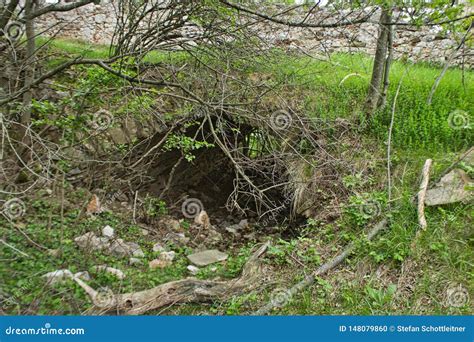An Old Cave In The Woods On The Ground Stock Photo Image Of Research