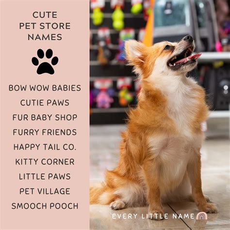 150 Best Pet Store Names Cute Creative And Purr Fect Every