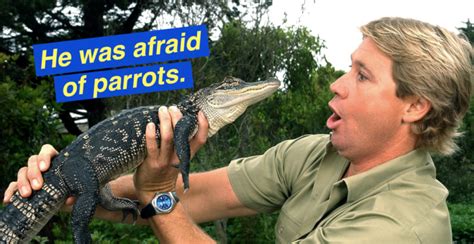 15 Crazy Facts You Didnt Know About Steve Irwin