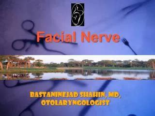 PPT Tympanoplasty Mastoidectomy Facial Nerve Decompression PowerPoint Presentation ID