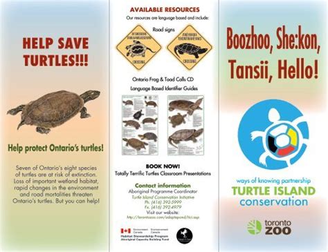 Turtle Island Brochure Pdf Toronto Zoo