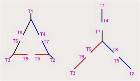 Conexion Estrella Triangulo Motor 9 Puntas Cita Medico Sevilla Online