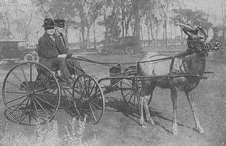 Enjim wap digunakan sebagai pengerak utama bagi stesyen pam, kereta api, kapal wap, enjin geseran (traction engine), lori wap dan kenderaan lain. Sains Sekolah Rendah: Sejarah Perkembangan Teknologi ...